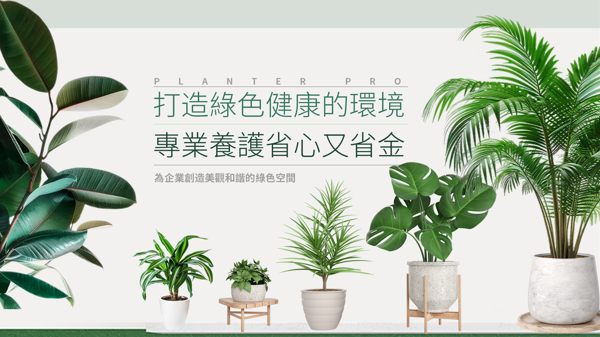 Planter Pro 打造綠色健康的環境